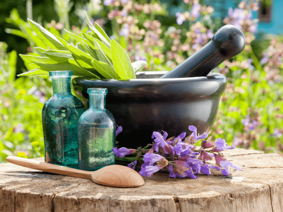 Herbs for treatment baths for osteochondrosis